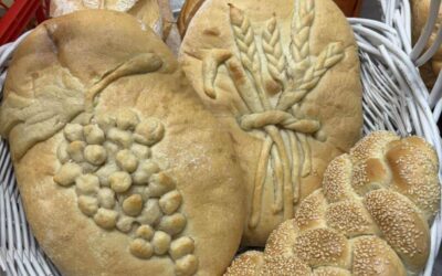 DAN ZAHVALNOSTI ZA PLODOVE ZEMLJE U OŠ „VLADIMIR NAZOR“ TRENKOVO