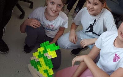 Engimatski projekt robotičke grupe – od Tetrisa do Afrike